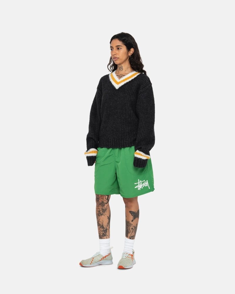 Short Stussy D'eau Big Basic Vert | QNH-0222330