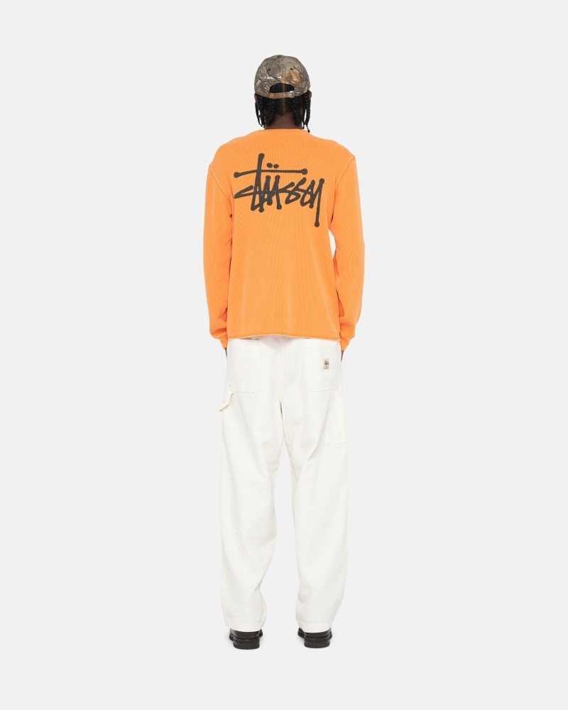 Pantalon Stussy Travail Tela Bone | EZB-2905930