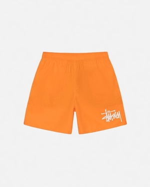 Short Stussy D'eau Big Basic Blaze | NXS-7331986