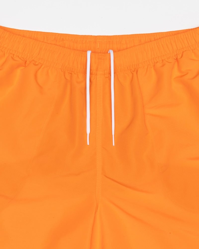 Short Stussy D'eau Big Basic Blaze | NXS-7331986