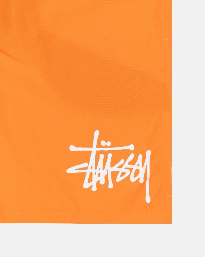 Short Stussy D'eau Big Basic Blaze | NXS-7331986