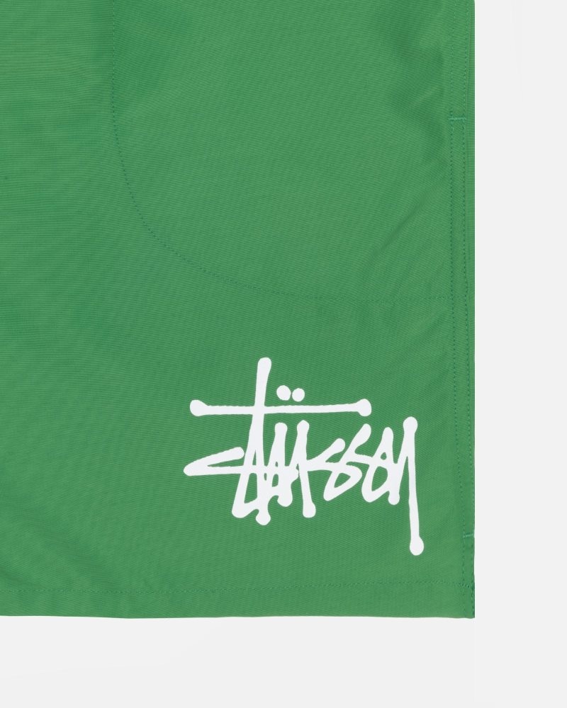 Short Stussy D'eau Big Basic Vert | QNH-0222330