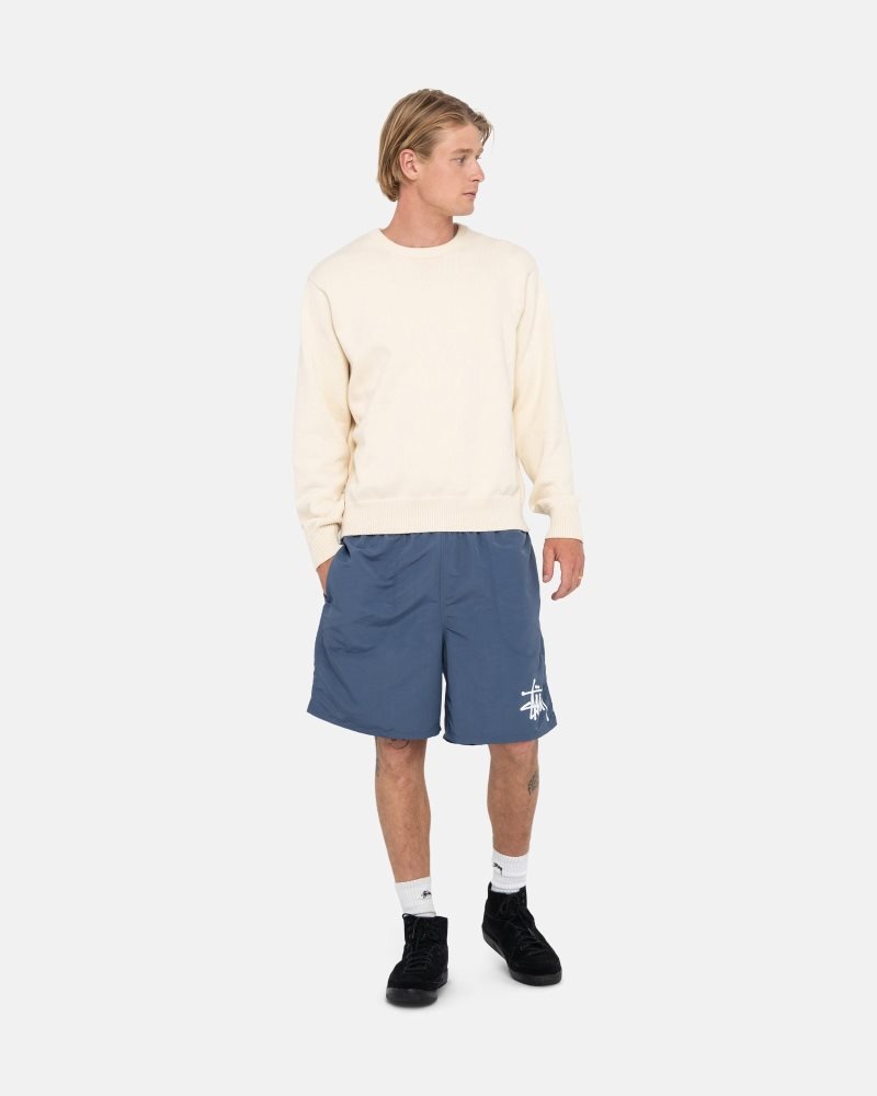 Short Stussy D'eau Big Basic Bleu Marine | TTU-2651516