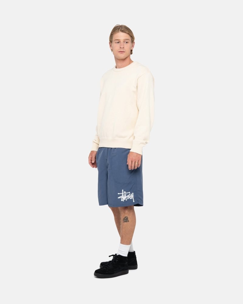 Short Stussy D'eau Big Basic Bleu Marine | TTU-2651516