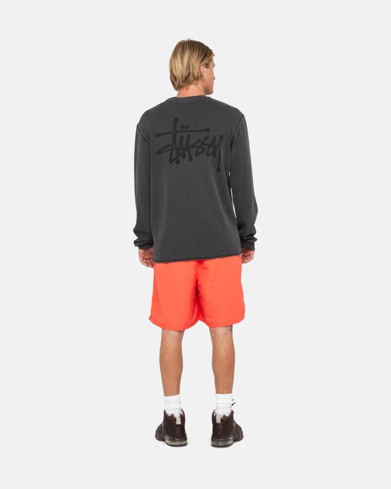 Short Stussy D'eau Big Basic Corail | JAB-1940023