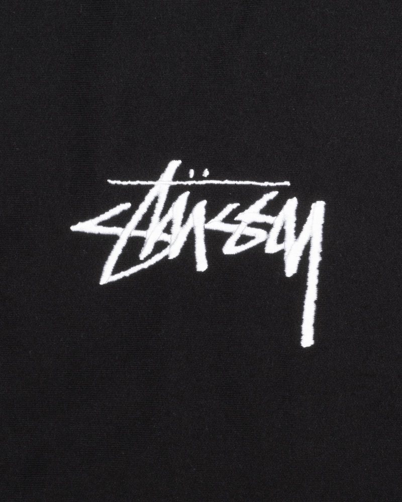 Sweat a Capuche Stussy Stock Logo Applique Noir | DPO-3863313