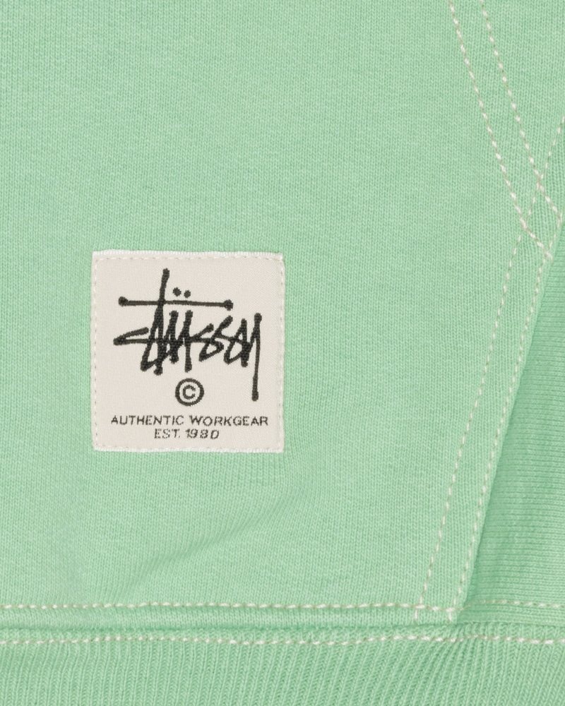 Sweat a Capuche Stussy Contrast Stitch Label Vert | MRW-4748576