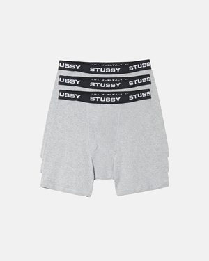 Short Stussy Stussy Boxer Grise | COP-7574341