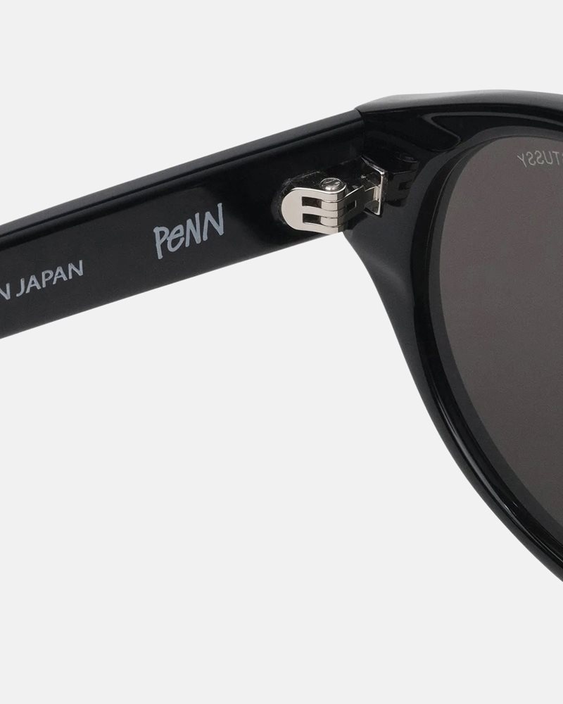 Lunettes de Soleil Stussy Penn Noir | JQA-2740253